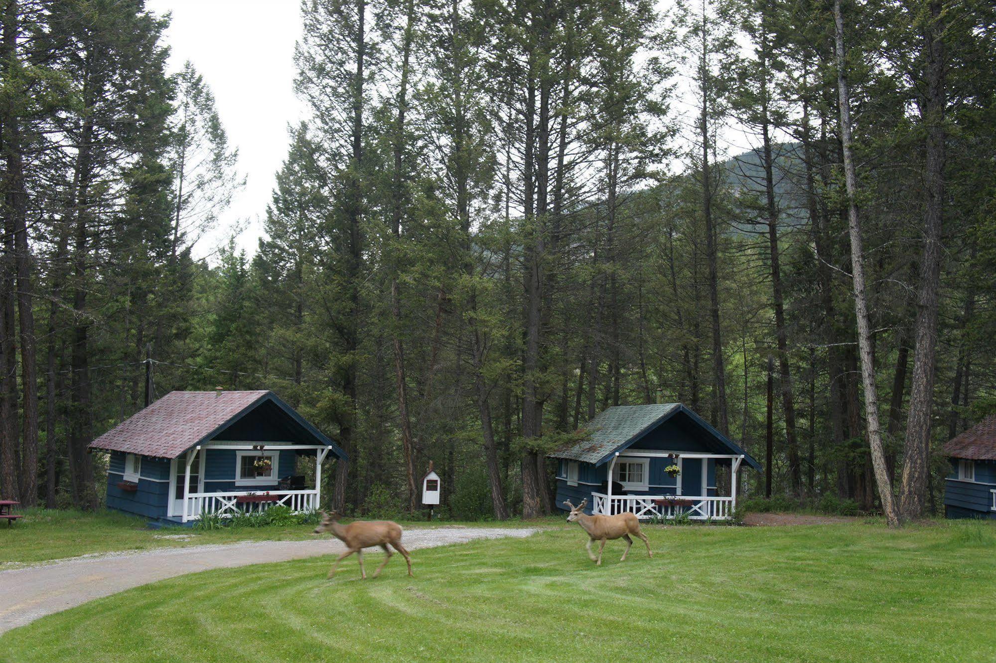 Fairmont Mountain Bungalows Fairmont Hot Springs Esterno foto
